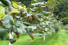 DE NUESTRA CASA A LA TUYA EN UN CLICK